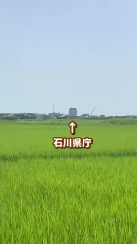 BIZニュースいしかわのTikTok投稿