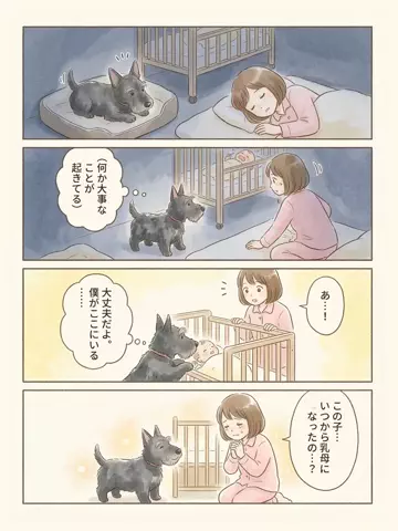 都内のチワワのTikTok投稿