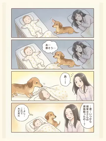都内のチワワのTikTok投稿