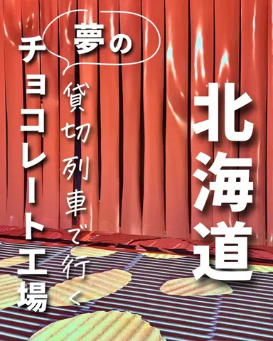 mocoのおでかけ日記のTikTok投稿