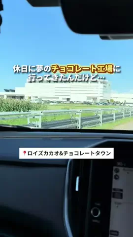 mocoのおでかけ日記のTikTok投稿