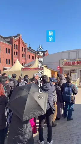 kou_yokohama_gourmetのTikTok投稿