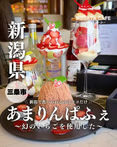 がたうぉーかー【新潟グルメ/スポット】のTikTok投稿