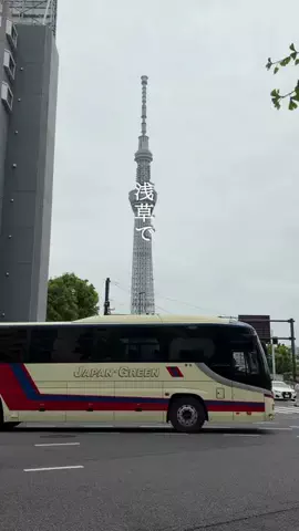 はちぱん🍞東京下町パンとカフェのTikTok投稿