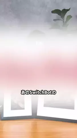 人柱イマケンのTikTok投稿