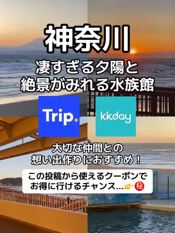 🌺なみひらりさ✈️🗺️｜絶景ホテル×コスパ旅のTikTok投稿