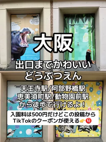 🌺なみひらりさ✈️🗺️｜絶景ホテル×コスパ旅のTikTok投稿
