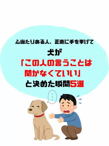 犬猫総合製薬株式会社のTikTok投稿