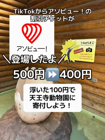 🌺なみひらりさ✈️🗺️｜絶景ホテル×コスパ旅のTikTok投稿