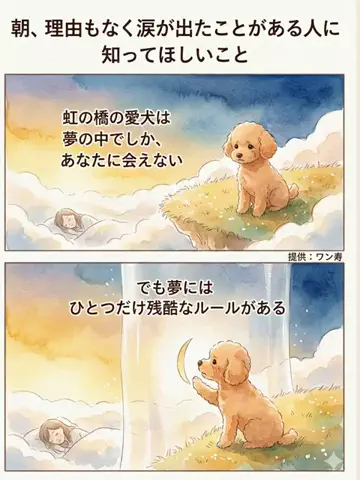 犬猫総合製薬株式会社のTikTok投稿