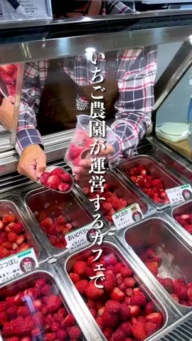 たくゆり | 福島県のお出かけガイドのTikTok投稿