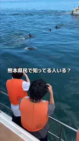 熊本グルメ／KUMAMOTO SELECTのTikTok投稿