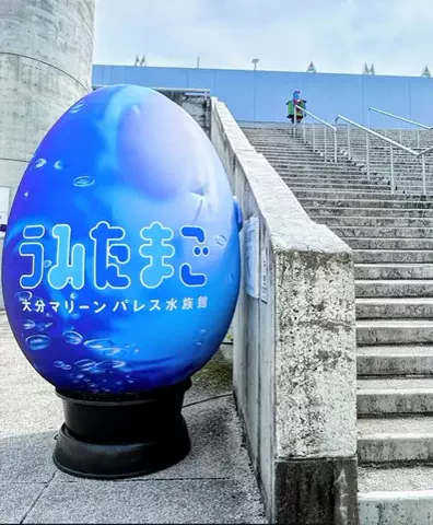 🟦🟧V夏輝V🟧🟦のTikTok投稿