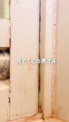 ししゃも｜ADHDズボラ家事のTikTok投稿