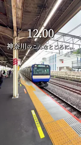神奈川グルメ旅のTikTok投稿