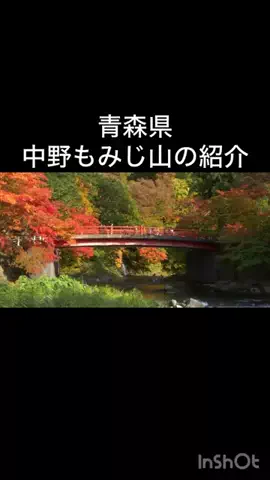 🎷🐖ブーちゃん🐖🎸のTikTok投稿