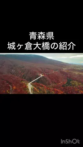 🎷🐖ブーちゃん🐖🎸のTikTok投稿