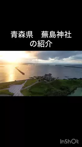 🎷🐖ブーちゃん🐖🎸のTikTok投稿