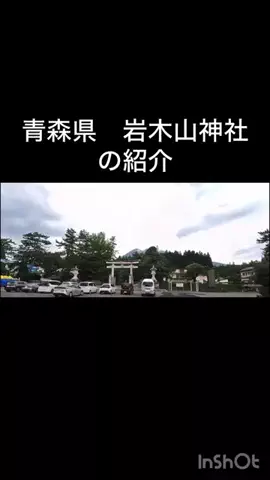 🎷🐖ブーちゃん🐖🎸のTikTok投稿