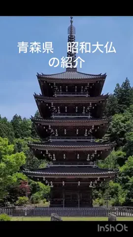 🎷🐖ブーちゃん🐖🎸のTikTok投稿