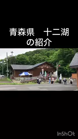 🎷🐖ブーちゃん🐖🎸のTikTok投稿