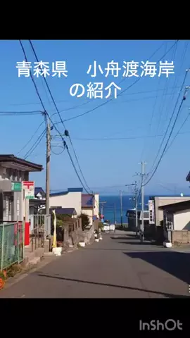 🎷🐖ブーちゃん🐖🎸のTikTok投稿