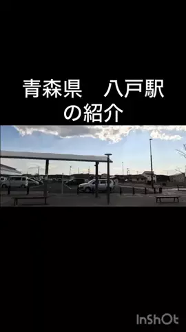 🎷🐖ブーちゃん🐖🎸のTikTok投稿