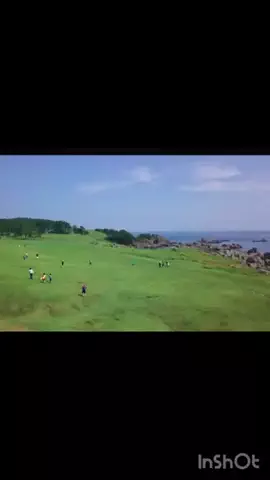 🎷🐖ブーちゃん🐖🎸のTikTok投稿