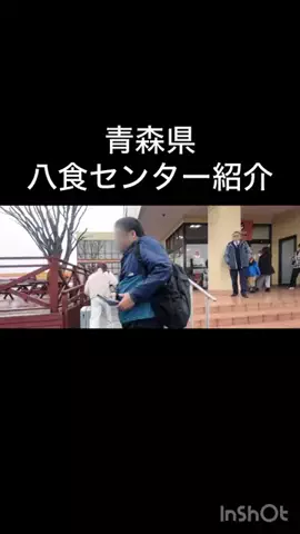 🎷🐖ブーちゃん🐖🎸のTikTok投稿
