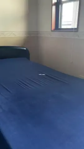 KomiのTikTok投稿