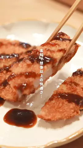 高知の山崎夫婦のTikTok投稿