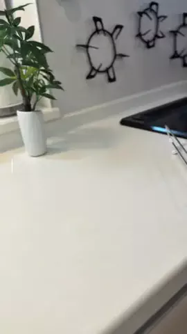 🥚たまごちゃん🥚のTikTok投稿