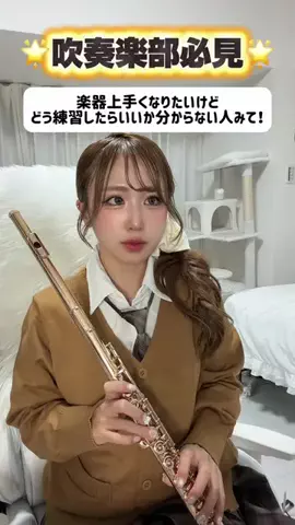 flute arisa🪈🎀🐈のTikTok投稿