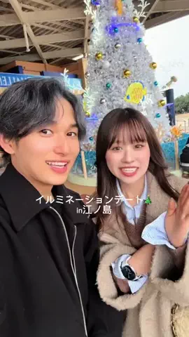 サンキューどっこいしょ🐢☀️のTikTok投稿