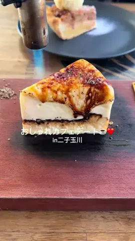 サンキューどっこいしょ🐢☀️のTikTok投稿