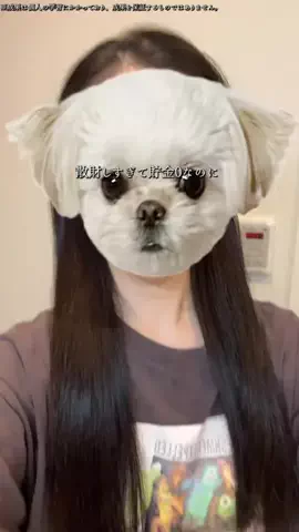 うたのTikTok投稿