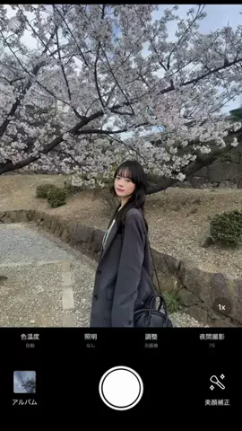 伊藤サラのTikTok投稿