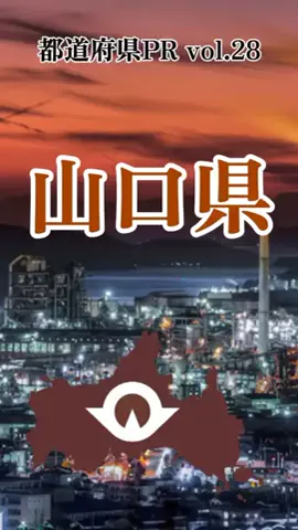 ORESAMAの名前はれんれんだよ🤩🤩🤩のTikTok投稿