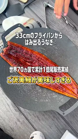 湘南放浪少女のTikTok投稿
