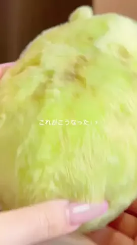 みさき@美容好きのTikTok投稿