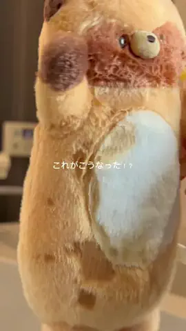 みさき@美容好きのTikTok投稿