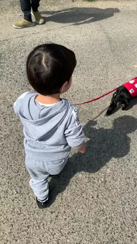 りおの日常のTikTok投稿