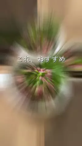 こむぎ|宮城のときめくパンとカフェのTikTok投稿