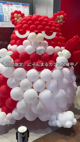 こむぎ|宮城のときめくパンとカフェのTikTok投稿
