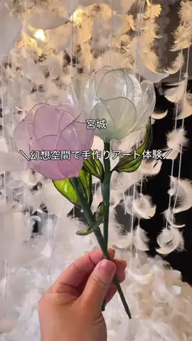 こむぎ|宮城のときめくパンとカフェのTikTok投稿
