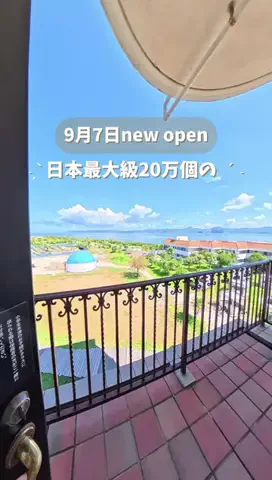 ゆめはぴのTikTok投稿