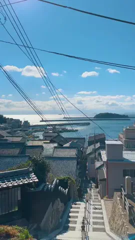 tomoのTikTok投稿