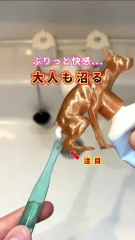 COCO | 暮らしを彩るアイデア🌿のTikTok投稿