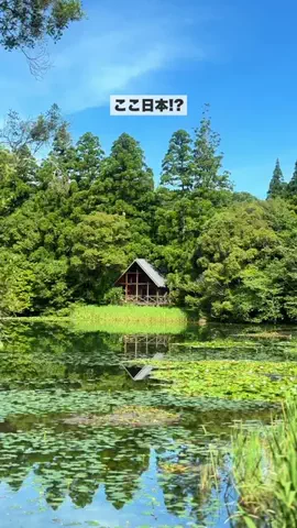 めぐみ🩵福岡熊本 子連れおでかけ・旅のTikTok投稿