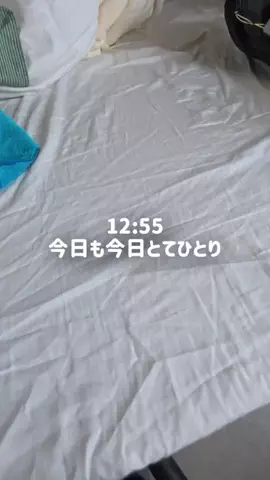うみのほぼ日記👦🏻のTikTok投稿